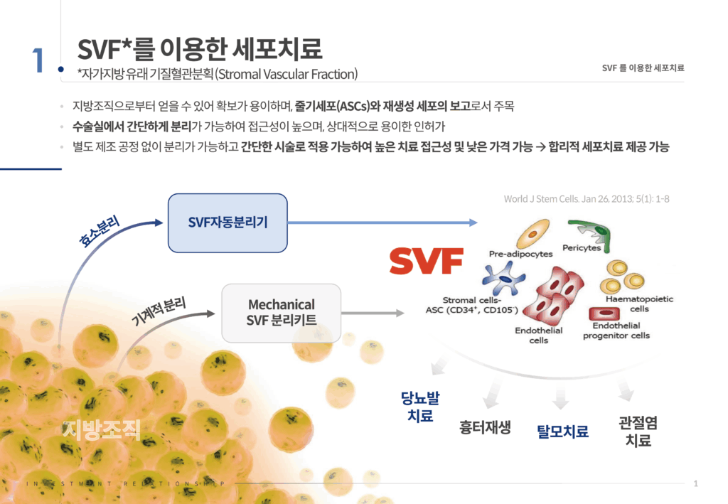 SVF 세포치료 개념 인포그래픽